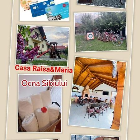 Hotel Casa Raisa & Maria Ocna Sibiului Esterno foto