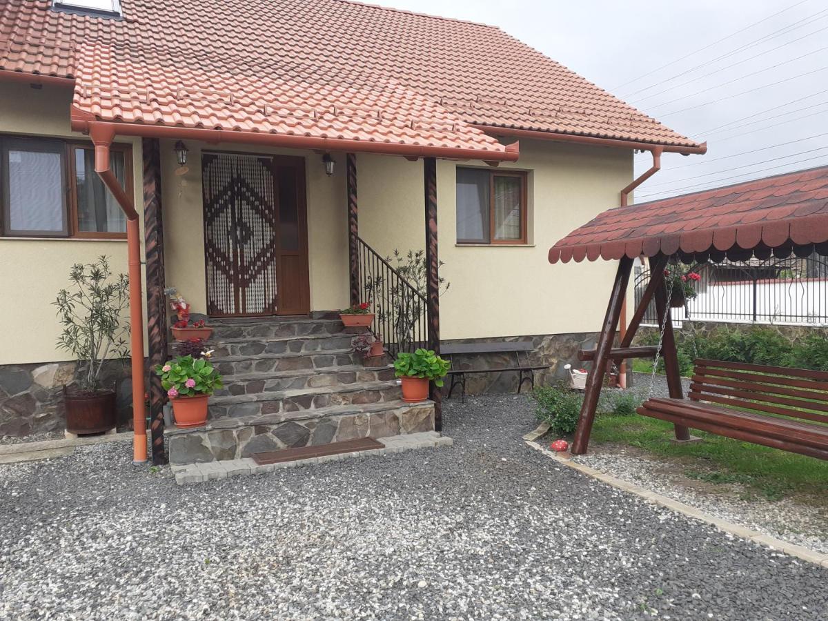 Hotel Casa Raisa & Maria Ocna Sibiului Esterno foto