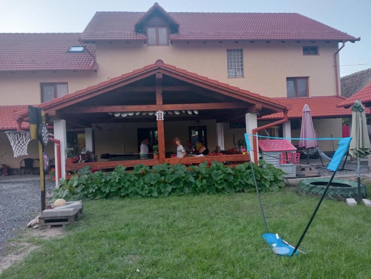 Hotel Casa Raisa & Maria Ocna Sibiului Esterno foto