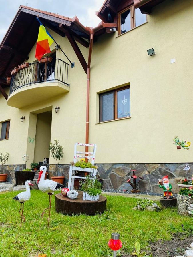 Hotel Casa Raisa & Maria Ocna Sibiului Esterno foto