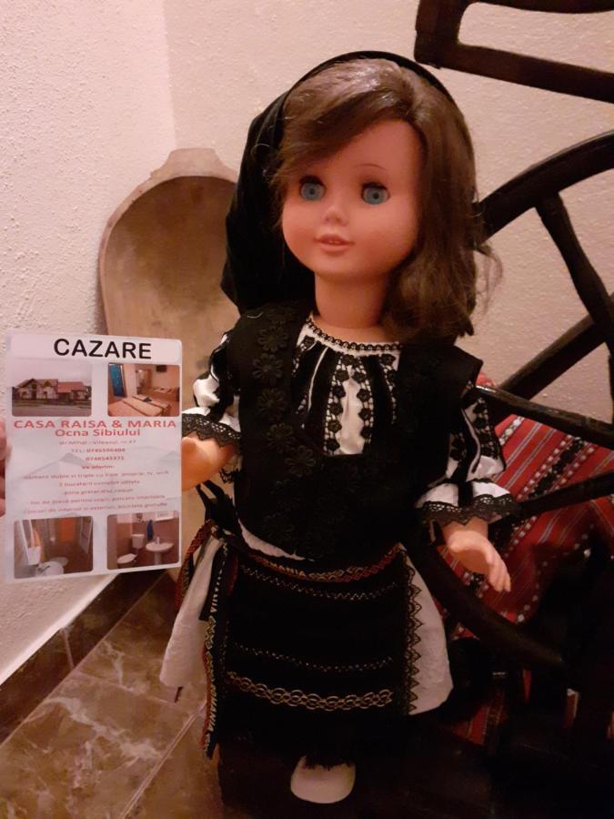 Hotel Casa Raisa & Maria Ocna Sibiului Esterno foto